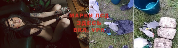 дмт Богданович