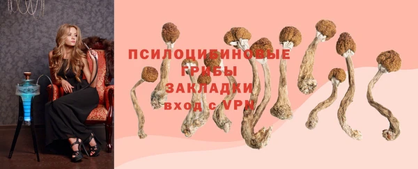 амфетамин Богородицк