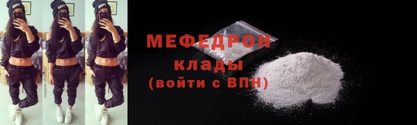 дмт Богданович