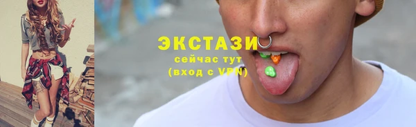 дмт Богданович