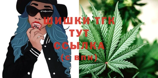 дмт Богданович