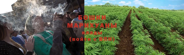 дмт Богданович