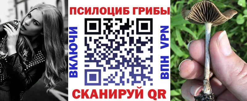Галлюциногенные грибы Magic Shrooms  Дзержинск 